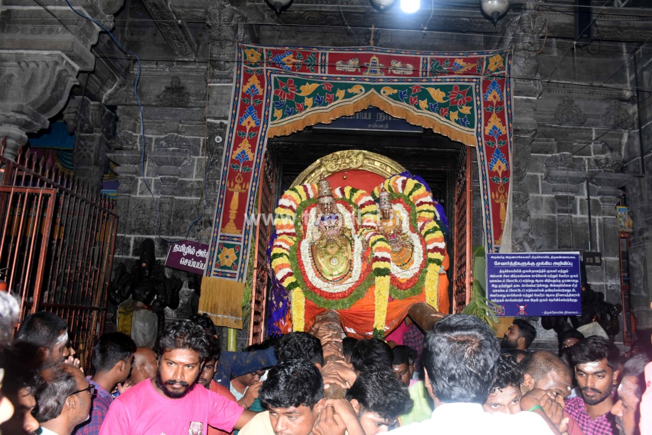 திருவண்ணாமலை அருள்மிகு அருணாசலேஸ்வரர் திருக்கோயில் சித்திரை வசந்த உற்சவம்-Day 4 திருவண்ணாமலை அருள்மிகு அருணாசலேஸ்வரர் திருக்கோயில் சித்திரை வசந்த உற்சவம்-Day 4