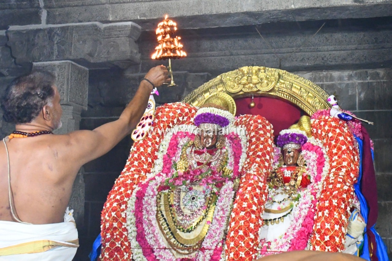 திருவண்ணாமலை அருள்மிகு அருணாசலேஸ்வரர் திருக்கோயில் சித்திரை வசந்த உற்சவம் – Day 6 திருவண்ணாமலை அருள்மிகு அருணாசலேஸ்வரர் திருக்கோயில் சித்திரை வசந்த உற்சவம் – Day 6