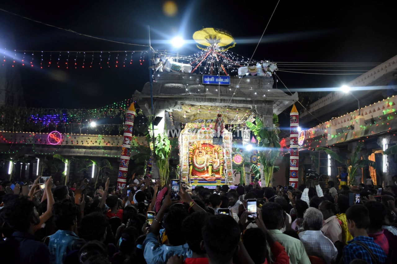 திருவண்ணாமலை அருள்மிகு அருணாசலேஸ்வரர் திருக்கோயில் சித்திரை வசந்த உற்சவம்-Day 4 திருவண்ணாமலை அருள்மிகு அருணாசலேஸ்வரர் திருக்கோயில் சித்திரை வசந்த உற்சவம்-Day 4