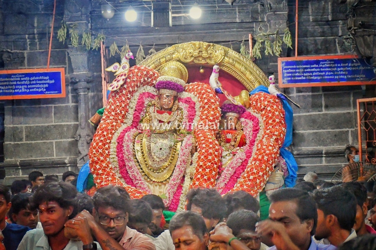 திருவண்ணாமலை அருள்மிகு அருணாசலேஸ்வரர் திருக்கோயில் சித்திரை வசந்த உற்சவம் – Day 6 திருவண்ணாமலை அருள்மிகு அருணாசலேஸ்வரர் திருக்கோயில் சித்திரை வசந்த உற்சவம் – Day 6