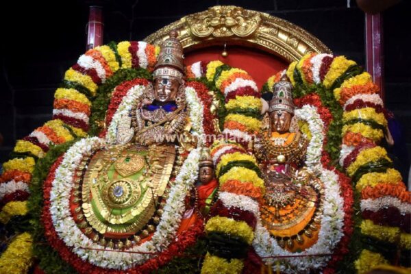 திருவண்ணாமலை அருள்மிகு அருணாசலேஸ்வரர் திருக்கோயில் சித்திரை வசந்த உற்சவம்-Day 4 திருவண்ணாமலை அருள்மிகு அருணாசலேஸ்வரர் திருக்கோயில் சித்திரை வசந்த உற்சவம்-Day 4