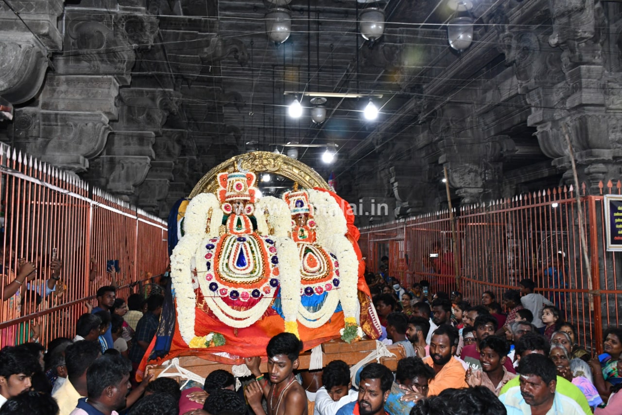 திருவண்ணாமலை அருள்மிகு அருணாசலேஸ்வரர் திருக்கோயில் சித்திரை வசந்த உற்சவம் – Day 5 திருவண்ணாமலை அருள்மிகு அருணாசலேஸ்வரர் திருக்கோயில் சித்திரை வசந்த உற்சவம் – Day 5