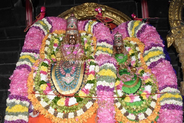 திருவண்ணாமலை அருள்மிகு அருணாசலேஸ்வரர் திருக்கோயில் சித்திரை வசந்த உற்சவம் - Day 2 திருவண்ணாமலை அருள்மிகு அருணாசலேஸ்வரர் திருக்கோயில் சித்திரை வசந்த உற்சவம் - Day 2