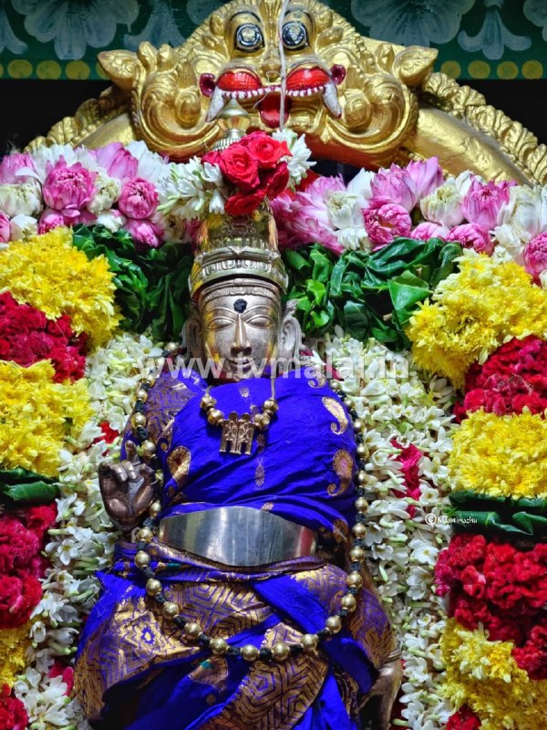 அருணாசலேசுவரர்  திருக்கோவில் ஆனி மாத பிறப்பு முன்னிட்டு சின்ன நாயகர் ஐந்தாம் பிரகாரத்தில் உலா!