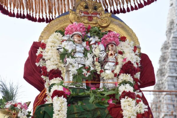 அருணாசலேஸ்வரர் கோவிலில் ஆனி மாத அமாவாசை பிரதோஷ விழா! அருணாசலேஸ்வரர் கோவிலில் ஆனி மாத அமாவாசை பிரதோஷ விழா!