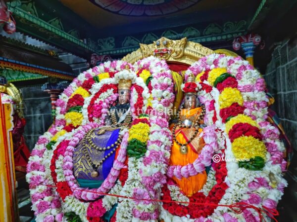 அருணாசலேசுவரர்  திருக்கோவில் ஆனி மாத பிறப்பு முன்னிட்டு சின்ன நாயகர் ஐந்தாம் பிரகாரத்தில் உலா!