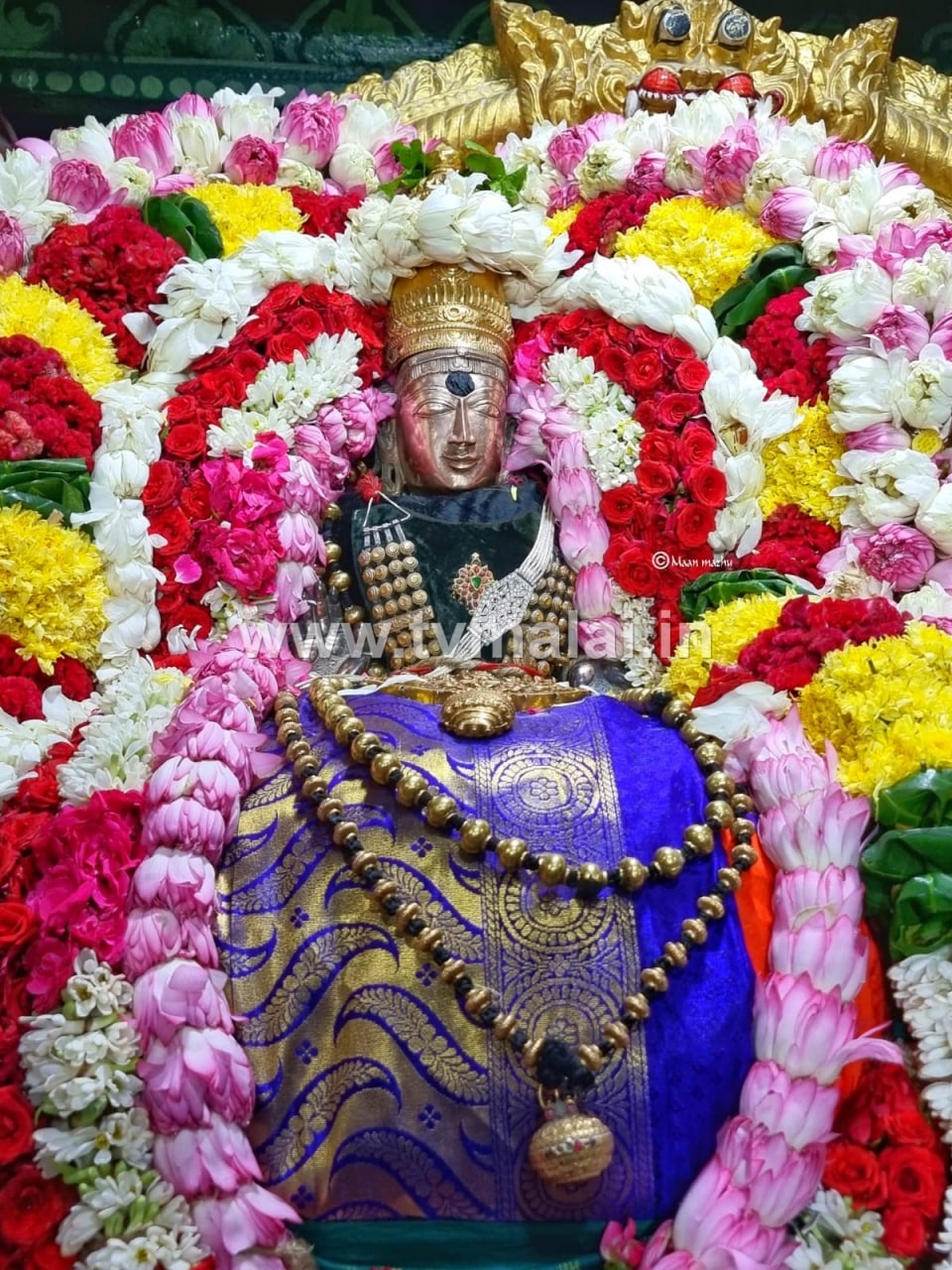 அருணாசலேசுவரர்  திருக்கோவில் ஆனி மாத பிறப்பு முன்னிட்டு சின்ன நாயகர் ஐந்தாம் பிரகாரத்தில் உலா!