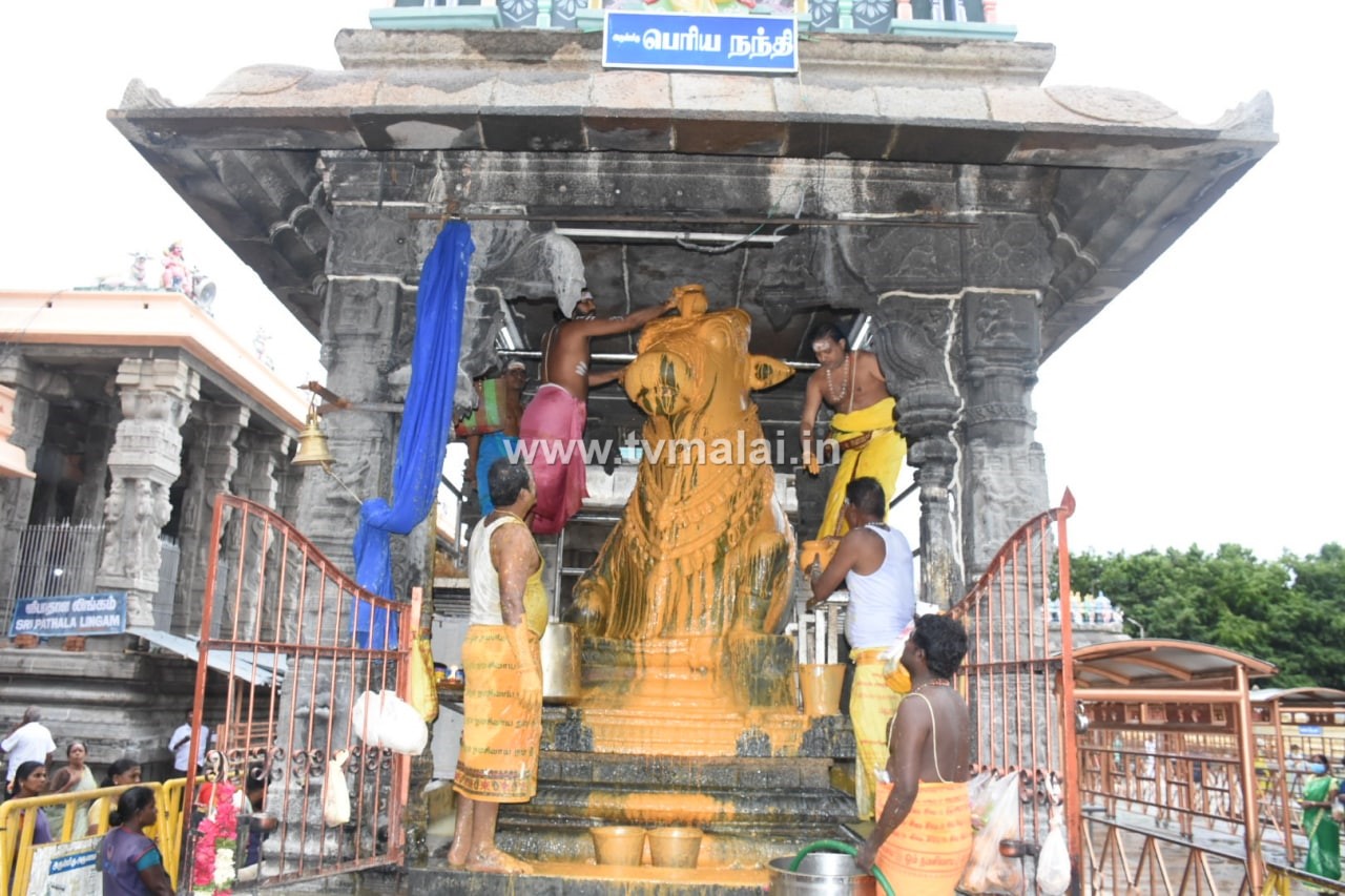 திருவண்ணாமலை அருணாச்சலேஸ்வரர் கோவிலில் ஆனி மாத பெளர்ணமி பிரதோஷம்!