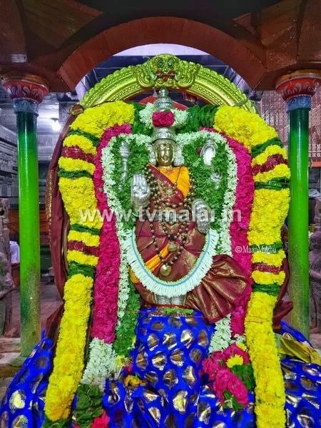 அருள்மிகு அண்ணாமலையார் திருக்கோயிலில் ஆடிப்பூரம் மூன்றாம் நாள் உற்சவம்! அருள்மிகு அண்ணாமலையார் திருக்கோயிலில் ஆடிப்பூரம் மூன்றாம் நாள் உற்சவம்!