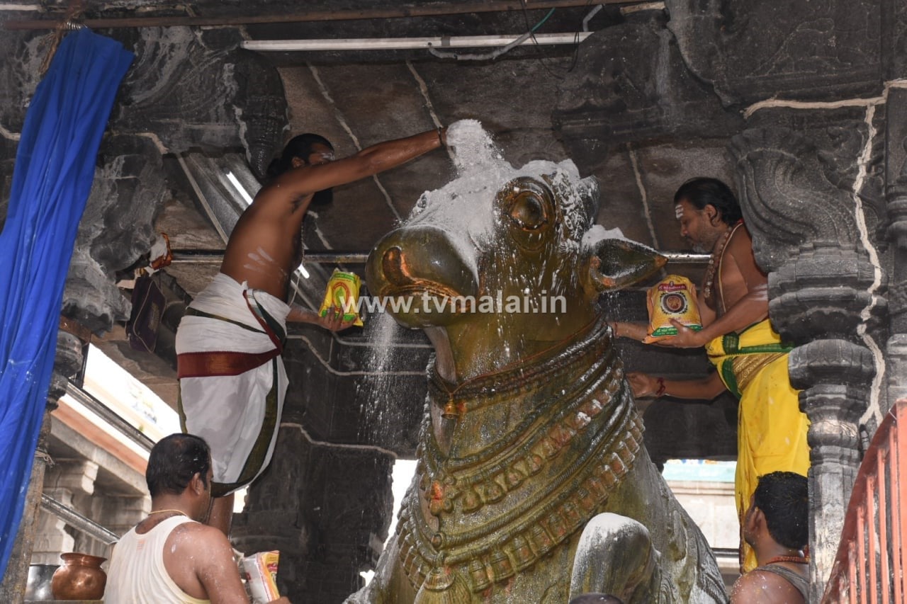 திருவண்ணாமலை அருணாச்சலேஸ்வரர் கோவிலில் ஆடி மாத அமாவாசை பிரதோஷம்! திருவண்ணாமலை அருணாச்சலேஸ்வரர் கோவிலில் ஆடி மாத அமாவாசை பிரதோஷம்!