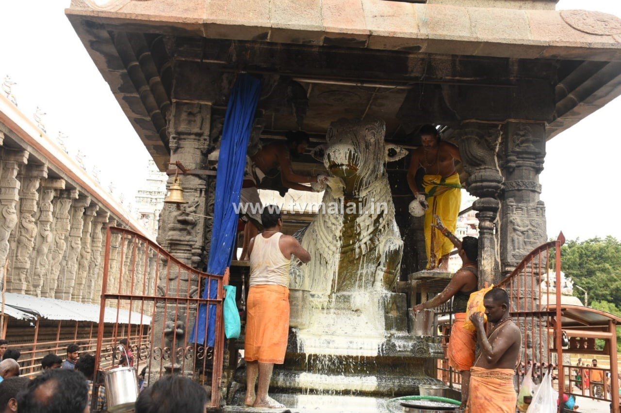 திருவண்ணாமலை அருணாச்சலேஸ்வரர் கோவிலில் ஆடி மாத அமாவாசை பிரதோஷம்! திருவண்ணாமலை அருணாச்சலேஸ்வரர் கோவிலில் ஆடி மாத அமாவாசை பிரதோஷம்!