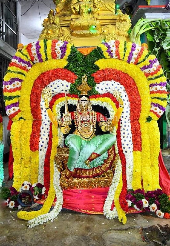 திருவண்ணாமலை அருணாசலேஸ்வரர் திருக்கோவிலில் அருள்மிகு பூமாரியம்மன் பூ பல்லக்கில் வீதிஉலா! திருவண்ணாமலை அருணாசலேஸ்வரர் திருக்கோவிலில் அருள்மிகு பூமாரியம்மன் பூ பல்லக்கில் வீதிஉலா!