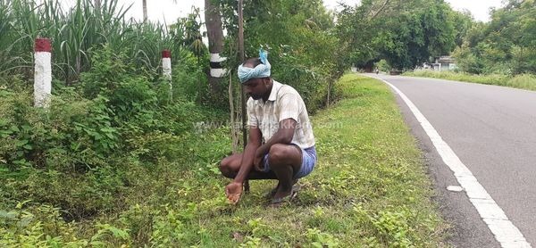 ஆடி 18- ஐ முன்னிட்டு கலசபாக்கம் - பூண்டி சாலையில் விதை பந்துகள் விதைக்கப்பட்டன! ஆடி 18- ஐ முன்னிட்டு கலசபாக்கம் - பூண்டி சாலையில் விதை பந்துகள் விதைக்கப்பட்டன!