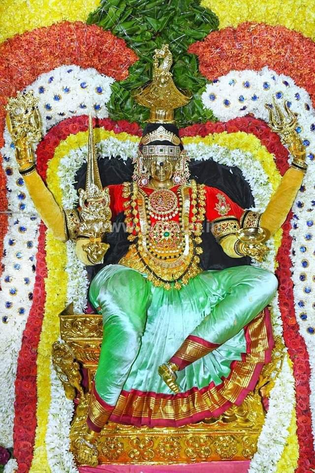 திருவண்ணாமலை அருணாசலேஸ்வரர் திருக்கோவிலில் அருள்மிகு பூமாரியம்மன் பூ பல்லக்கில் வீதிஉலா! திருவண்ணாமலை அருணாசலேஸ்வரர் திருக்கோவிலில் அருள்மிகு பூமாரியம்மன் பூ பல்லக்கில் வீதிஉலா!