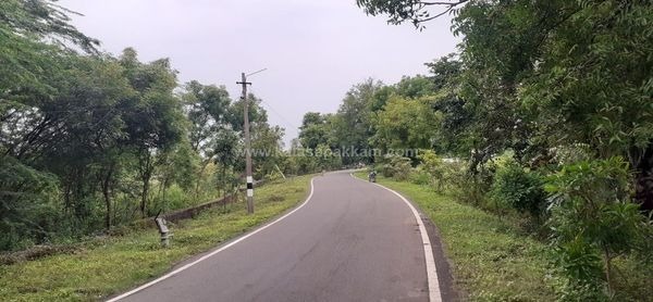 ஆடி 18- ஐ முன்னிட்டு கலசபாக்கம் - பூண்டி சாலையில் விதை பந்துகள் விதைக்கப்பட்டன! ஆடி 18- ஐ முன்னிட்டு கலசபாக்கம் - பூண்டி சாலையில் விதை பந்துகள் விதைக்கப்பட்டன!