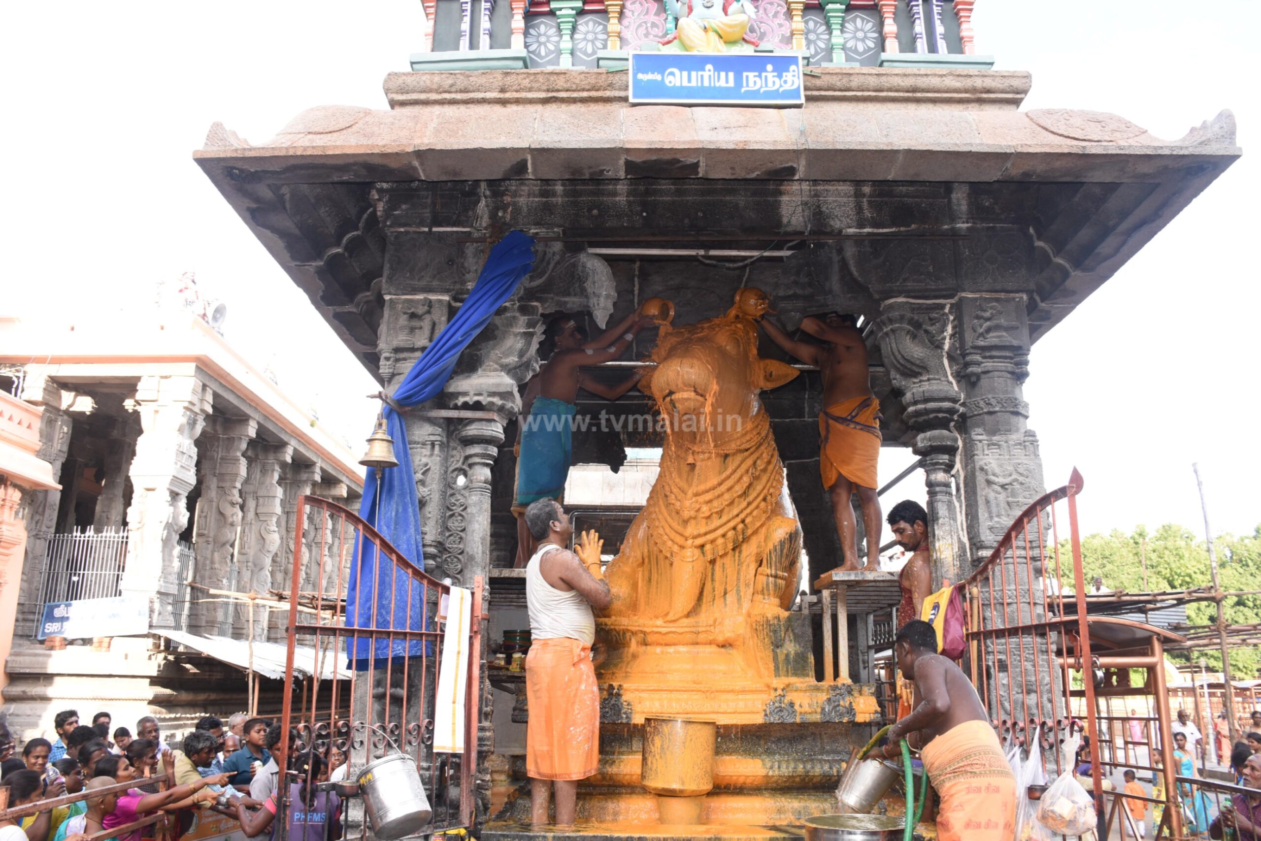 திருவண்ணாமலை அருணாச்சலேஸ்வரர் திருக்கோவிலில் ஆடி மாத பௌர்ணமி பிரதோஷம்! திருவண்ணாமலை அருணாச்சலேஸ்வரர் திருக்கோவிலில் ஆடி மாத பௌர்ணமி பிரதோஷம்!
