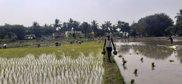 திருவண்ணாமலை மாவட்டத்தில் விவசாயிகளுக்கான தொழில் முனைவோர் பயிற்சி!