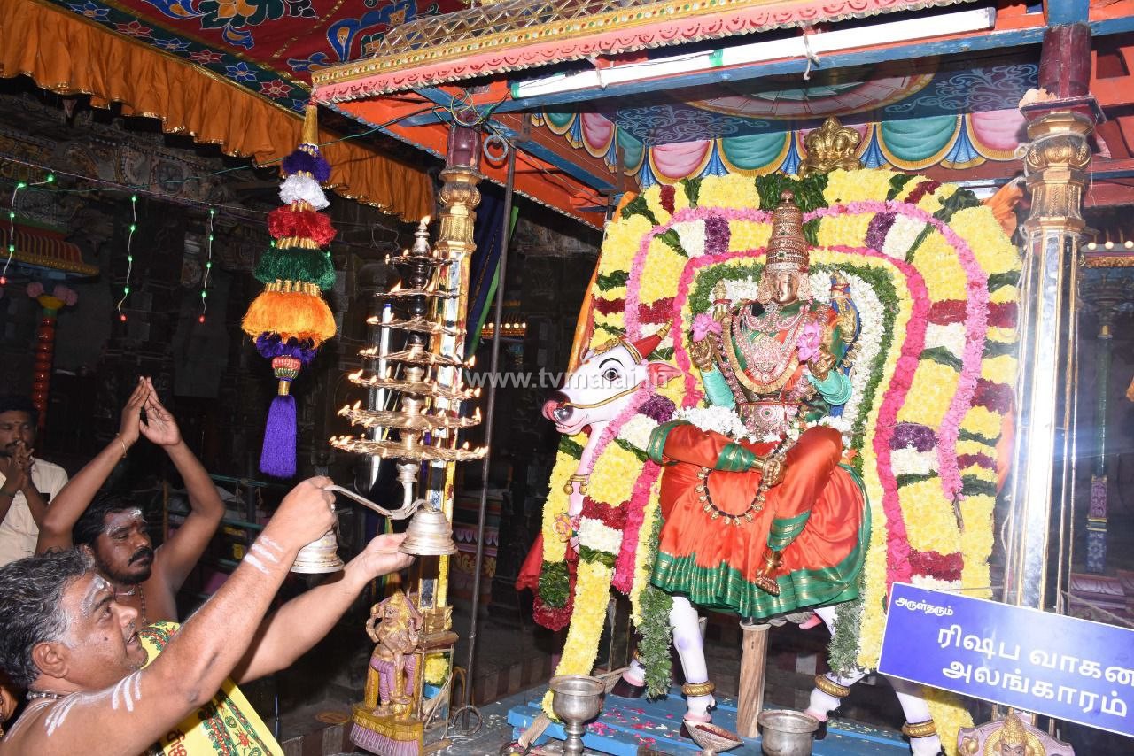 திருவண்ணாமலை அருள்மிகு அண்ணாமலையார் திருக்கோவிலில் நவராத்திரி ஐந்தாம் நாள்! திருவண்ணாமலை அருள்மிகு அண்ணாமலையார் திருக்கோவிலில் நவராத்திரி ஐந்தாம் நாள்!