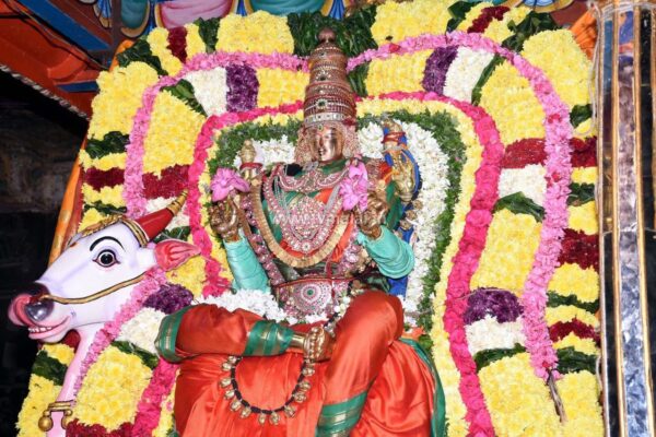 திருவண்ணாமலை அருள்மிகு அண்ணாமலையார் திருக்கோவிலில் நவராத்திரி ஐந்தாம் நாள்! திருவண்ணாமலை அருள்மிகு அண்ணாமலையார் திருக்கோவிலில் நவராத்திரி ஐந்தாம் நாள்!