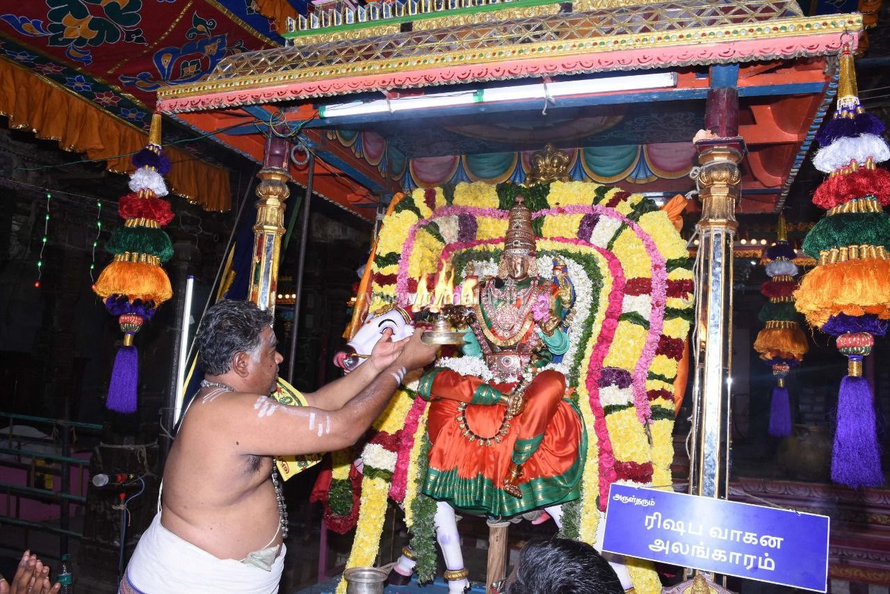 திருவண்ணாமலை அருள்மிகு அண்ணாமலையார் திருக்கோவிலில் நவராத்திரி ஐந்தாம் நாள்! திருவண்ணாமலை அருள்மிகு அண்ணாமலையார் திருக்கோவிலில் நவராத்திரி ஐந்தாம் நாள்!