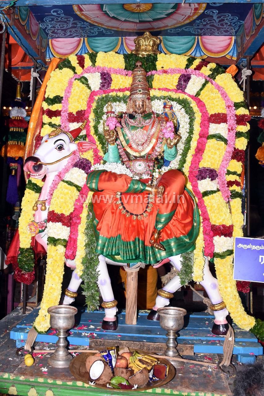 திருவண்ணாமலை அருள்மிகு அண்ணாமலையார் திருக்கோவிலில் நவராத்திரி ஐந்தாம் நாள்! திருவண்ணாமலை அருள்மிகு அண்ணாமலையார் திருக்கோவிலில் நவராத்திரி ஐந்தாம் நாள்!