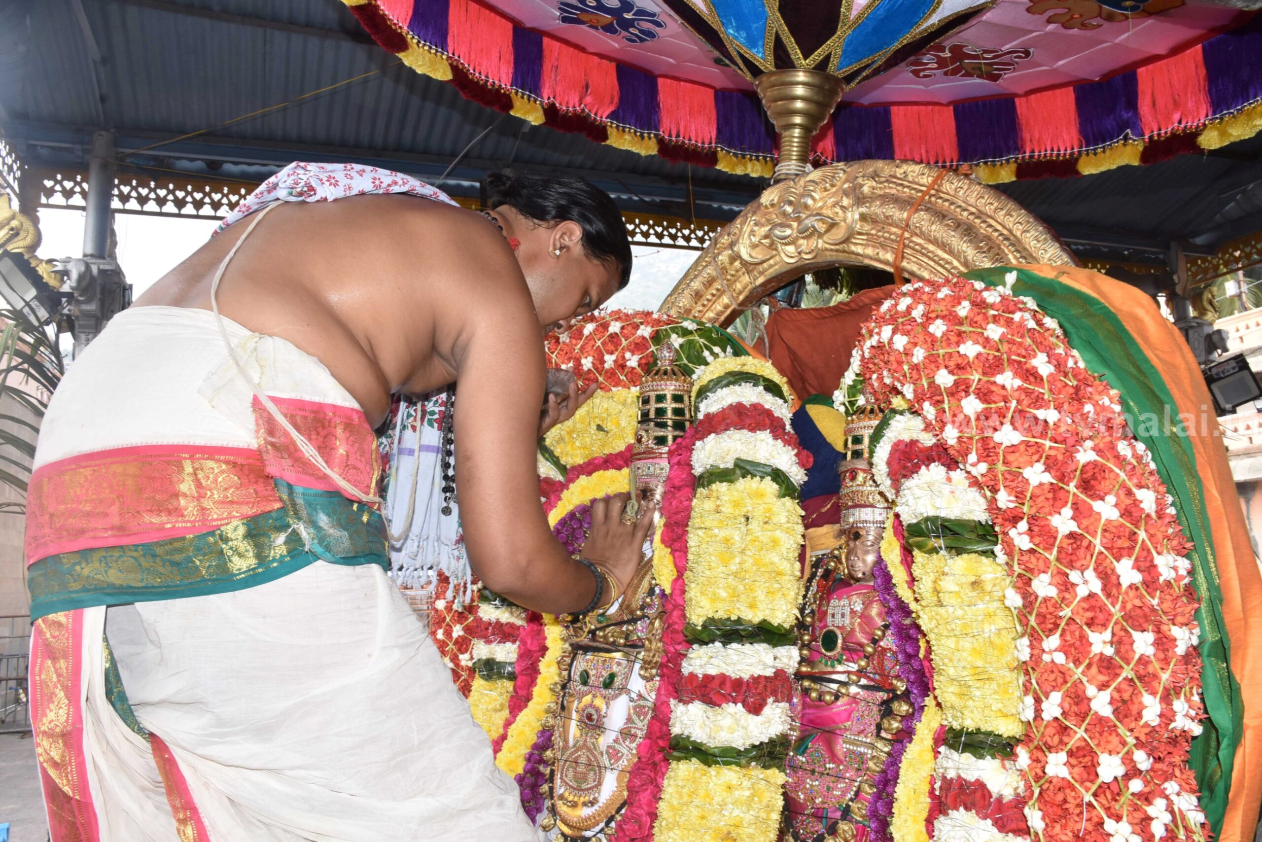 திருவண்ணாமலை கார்த்திகை தீபம் திருவிழா 2022 – இரண்டாம் நாள் காலை திருவண்ணாமலை கார்த்திகை தீபம் திருவிழா 2022 – இரண்டாம் நாள் காலை
