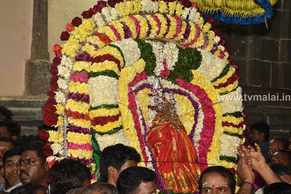 திருவண்ணாமலையில் அருள்மிகு பிடாரி அம்மன் உற்சவம்! திருவண்ணாமலையில் அருள்மிகு பிடாரி அம்மன் உற்சவம்!