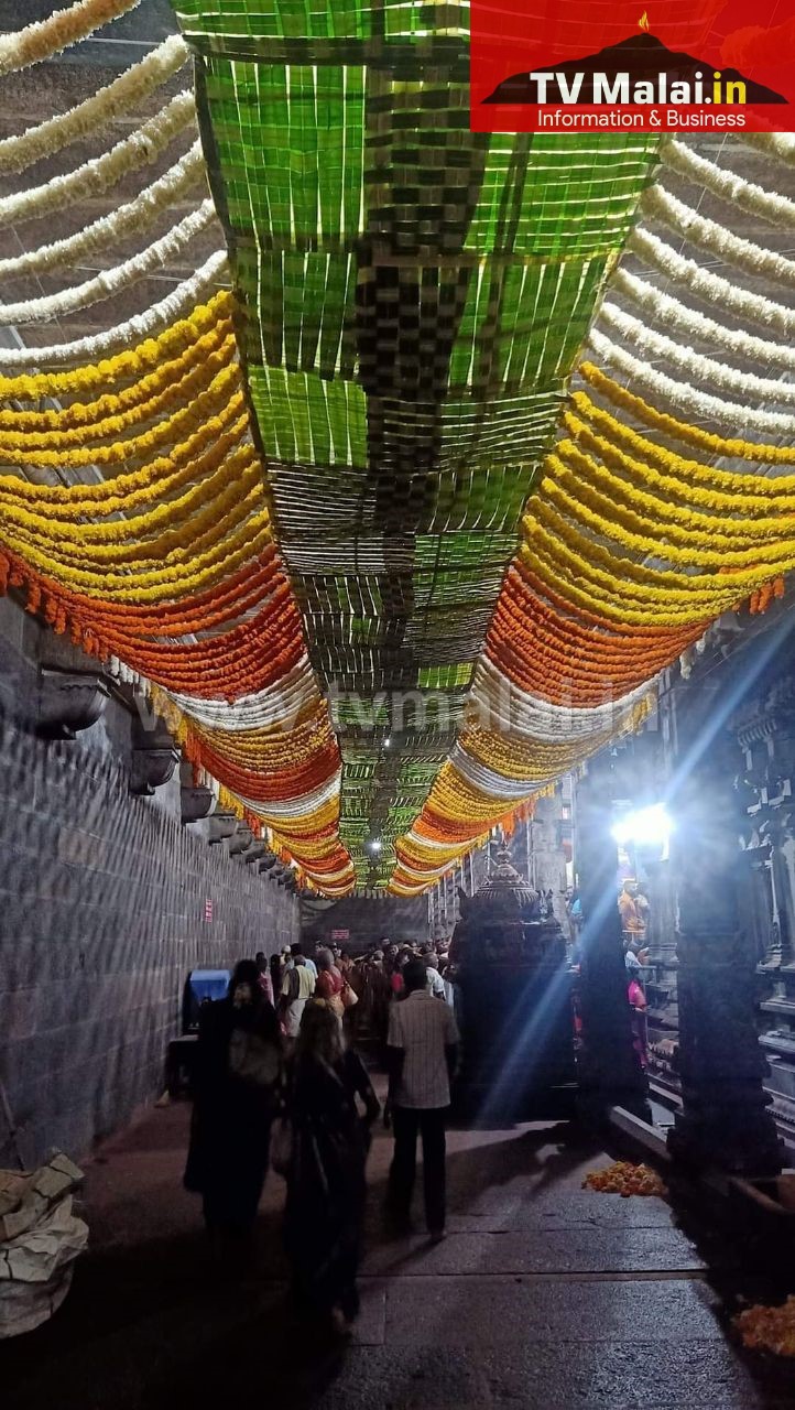 தீபத் திருவிழாவை முன்னிட்டு அருணாசலேஸ்வரர் திருக்கோவில் வண்ணத் தோரணங்களால் அலங்காரம்! தீபத் திருவிழாவை முன்னிட்டு அருணாசலேஸ்வரர் திருக்கோவில் வண்ணத் தோரணங்களால் அலங்காரம்!