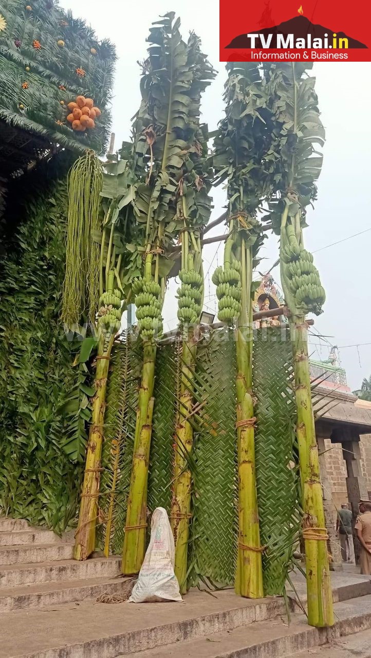 தீபத் திருவிழாவை முன்னிட்டு அருணாசலேஸ்வரர் திருக்கோவில் வண்ணத் தோரணங்களால் அலங்காரம்! தீபத் திருவிழாவை முன்னிட்டு அருணாசலேஸ்வரர் திருக்கோவில் வண்ணத் தோரணங்களால் அலங்காரம்!