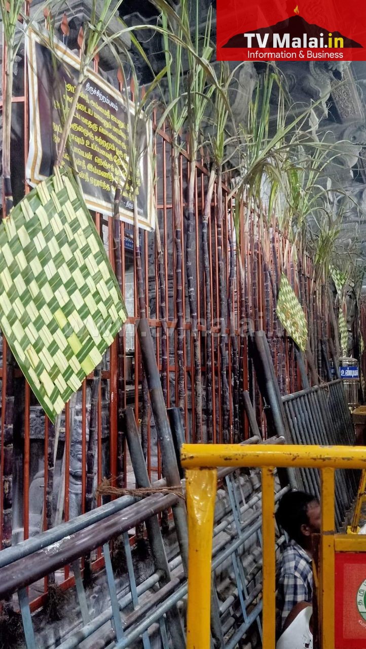 தீபத் திருவிழாவை முன்னிட்டு அருணாசலேஸ்வரர் திருக்கோவில் வண்ணத் தோரணங்களால் அலங்காரம்! தீபத் திருவிழாவை முன்னிட்டு அருணாசலேஸ்வரர் திருக்கோவில் வண்ணத் தோரணங்களால் அலங்காரம்!