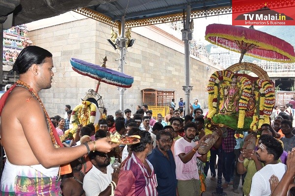 திருவண்ணாமலை கார்த்திகை தீபம் திருவிழா 2022 – எட்டாம் நாள் காலை! திருவண்ணாமலை கார்த்திகை தீபம் திருவிழா 2022 – எட்டாம் நாள் காலை!