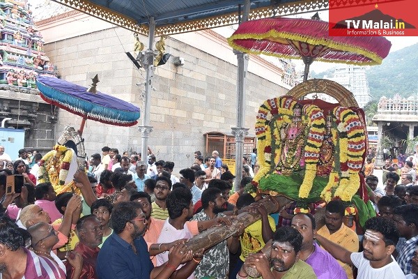 திருவண்ணாமலை கார்த்திகை தீபம் திருவிழா 2022 – எட்டாம் நாள் காலை! திருவண்ணாமலை கார்த்திகை தீபம் திருவிழா 2022 – எட்டாம் நாள் காலை!