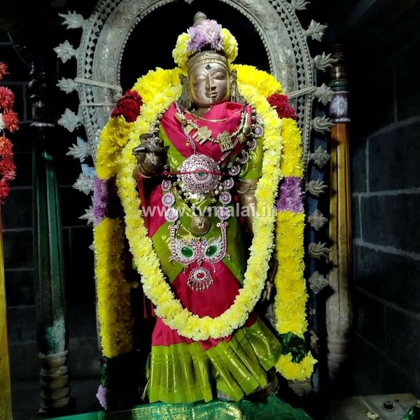 அருள்மிகு அருணாச்சலேஸ்வரர் திருக்கோயில் ஆருத்ரா திருவிழா 2022! அருள்மிகு அருணாச்சலேஸ்வரர் திருக்கோயில் ஆருத்ரா திருவிழா 2022!