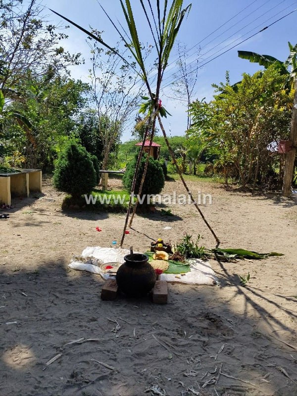 கலசபாக்கம் JB Farm - ல் பொங்கல் திருவிழா சிறப்பாக கொண்டாடப்பட்டது!