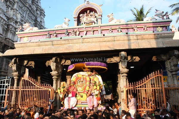 திருவண்ணாமலை அண்ணாமலையார் திருக்கோவிலில் மாட்டுப்பொங்கல் முன்னிட்டு (16.1.2023)அன்று காலை திருவூடல் விழா! திருவண்ணாமலை அண்ணாமலையார் திருக்கோவிலில் மாட்டுப்பொங்கல் முன்னிட்டு (16.1.2023)அன்று காலை திருவூடல் விழா!