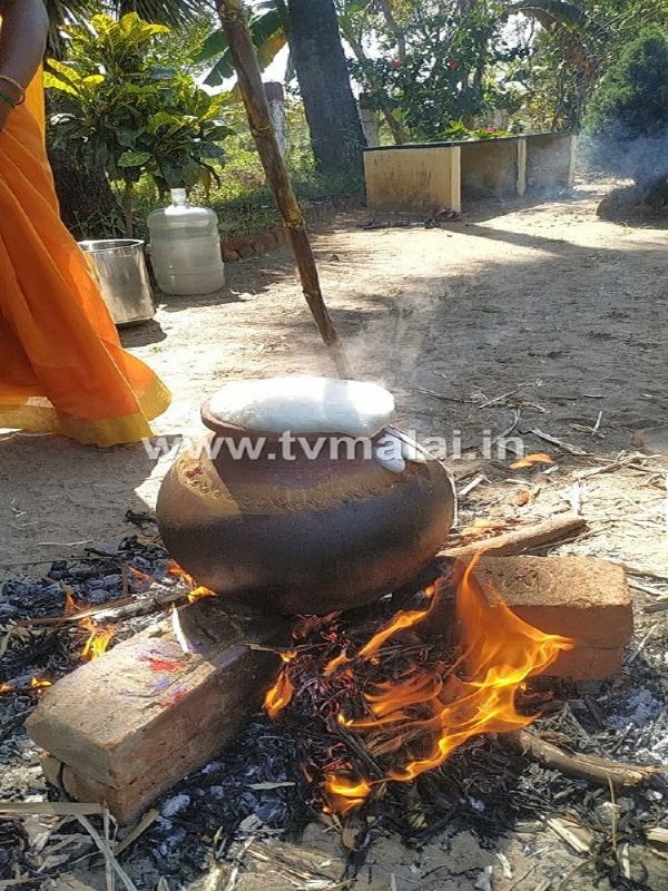 கலசபாக்கம் JB Farm - ல் பொங்கல் திருவிழா சிறப்பாக கொண்டாடப்பட்டது!