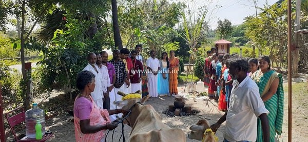 கலசபாக்கம் JB Farm - ல் பொங்கல் திருவிழா சிறப்பாக கொண்டாடப்பட்டது!
