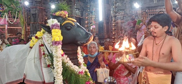 திருவண்ணாமலை அண்ணாமலையார் கோவிலில் மார்கழி மாத பௌர்ணமி பிரதோஷம்..! திருவண்ணாமலை அண்ணாமலையார் கோவிலில் மார்கழி மாத பௌர்ணமி பிரதோஷம்..!