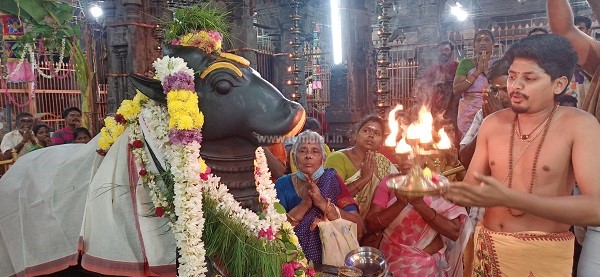 திருவண்ணாமலை அண்ணாமலையார் கோவிலில் மார்கழி மாத பௌர்ணமி பிரதோஷம்..! திருவண்ணாமலை அண்ணாமலையார் கோவிலில் மார்கழி மாத பௌர்ணமி பிரதோஷம்..!