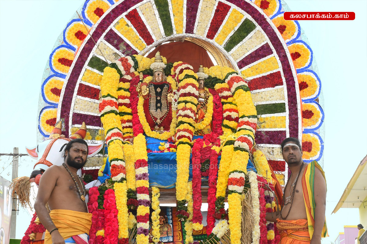 ரதசப்தமி: அருணாசலேஸ்வரர் கோவிலில் இருந்து தீர்த்தவாரிக்கு புறப்பட்ட சந்திரசேகரர்
