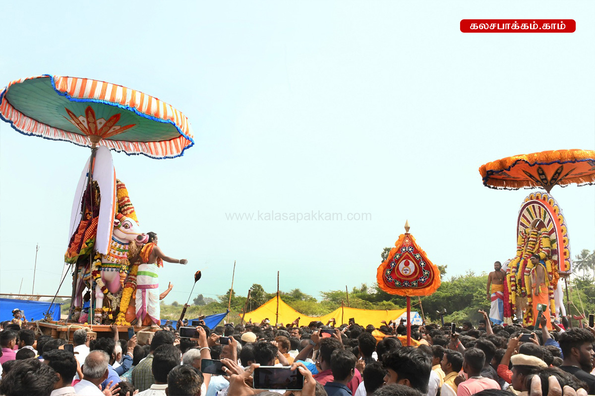 ரதசப்தமி: அருணாசலேஸ்வரர் கோவிலில் இருந்து தீர்த்தவாரிக்கு புறப்பட்ட சந்திரசேகரர்