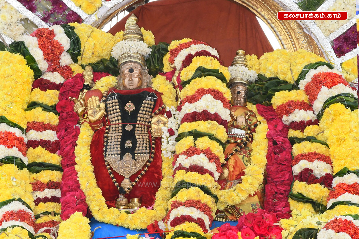 ரதசப்தமி: அருணாசலேஸ்வரர் கோவிலில் இருந்து தீர்த்தவாரிக்கு புறப்பட்ட சந்திரசேகரர்