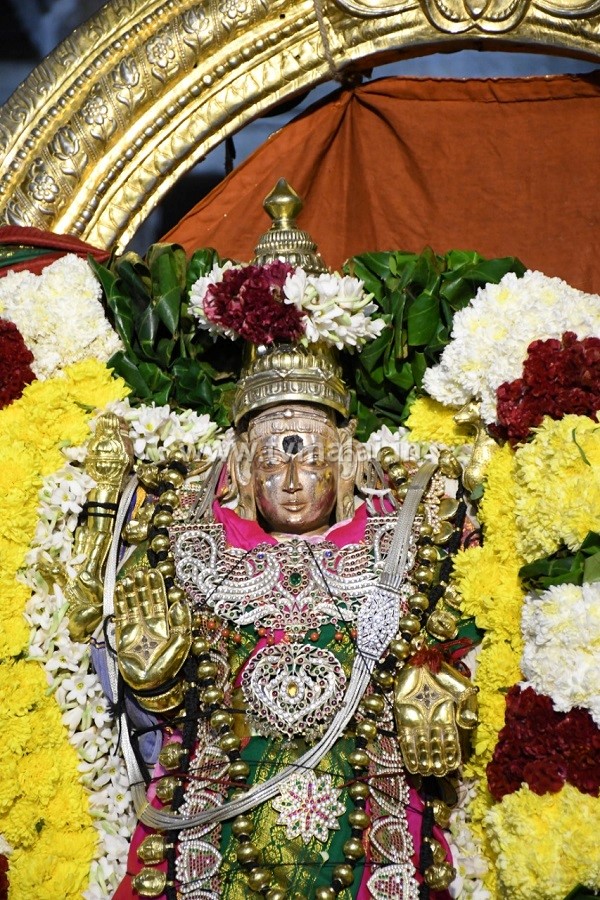 பிரம்மோற்சவ விழா: அண்ணாமலையார் உண்ணாமுலையம்மன் மாடவீதி வலம் வந்து பக்தர்களுக்கு காட்சி! பிரம்மோற்சவ விழா: அண்ணாமலையார் உண்ணாமுலையம்மன் மாடவீதி வலம் வந்து பக்தர்களுக்கு காட்சி!