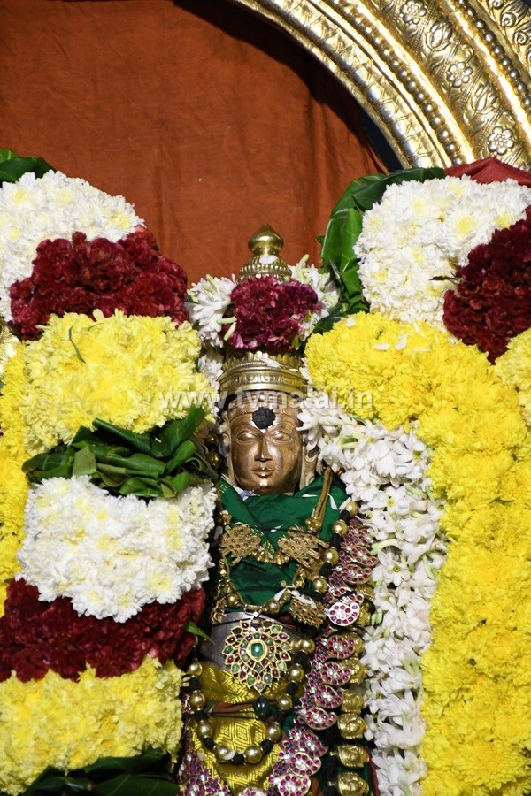 பிரம்மோற்சவ விழா: அண்ணாமலையார் உண்ணாமுலையம்மன் மாடவீதி வலம் வந்து பக்தர்களுக்கு காட்சி! பிரம்மோற்சவ விழா: அண்ணாமலையார் உண்ணாமுலையம்மன் மாடவீதி வலம் வந்து பக்தர்களுக்கு காட்சி!