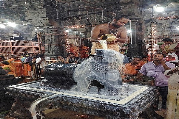 திருவண்ணாமலை அருணாச்சலேஸ்வரர் கோவிலில் மாசி மாத பௌர்ணமி பிரதோஷம்! திருவண்ணாமலை அருணாச்சலேஸ்வரர் கோவிலில் மாசி மாத பௌர்ணமி பிரதோஷம்!