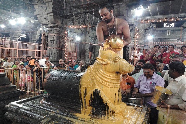 திருவண்ணாமலை அருணாச்சலேஸ்வரர் கோவிலில் மாசி மாத பௌர்ணமி பிரதோஷம்! திருவண்ணாமலை அருணாச்சலேஸ்வரர் கோவிலில் மாசி மாத பௌர்ணமி பிரதோஷம்!