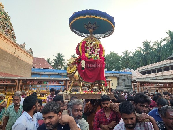 திருவண்ணாமலை அருணாச்சலேஸ்வரர் கோவிலில் மாசி மாத பௌர்ணமி பிரதோஷம்! திருவண்ணாமலை அருணாச்சலேஸ்வரர் கோவிலில் மாசி மாத பௌர்ணமி பிரதோஷம்!