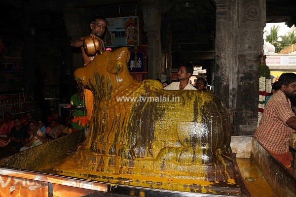 திருவண்ணாமலை அருணாச்சலேஸ்வரர் கோவிலில் பங்குனி மாத பௌர்ணமி பிரதோஷம்! திருவண்ணாமலை அருணாச்சலேஸ்வரர் கோவிலில் பங்குனி மாத பௌர்ணமி பிரதோஷம்!
