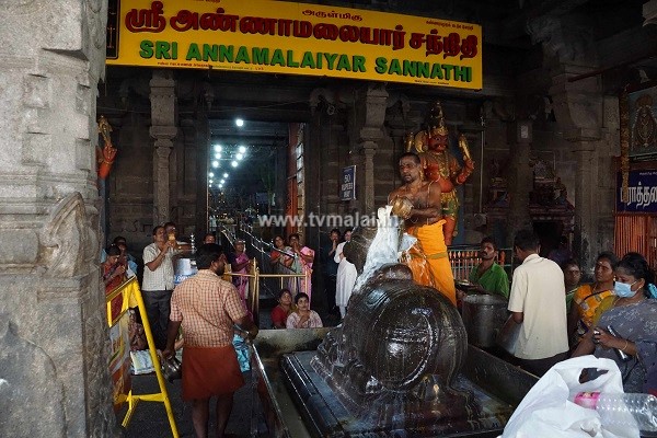 திருவண்ணாமலை அருணாச்சலேஸ்வரர் கோவிலில் பங்குனி மாத பௌர்ணமி பிரதோஷம்! திருவண்ணாமலை அருணாச்சலேஸ்வரர் கோவிலில் பங்குனி மாத பௌர்ணமி பிரதோஷம்!