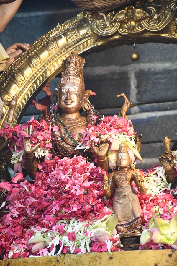அண்ணாமலையார் திருக்கோவிலில் வைகாசி மாத மகா அமாவாசை முன்னிட்டு சிறப்பு அபிஷேகம்! அண்ணாமலையார் திருக்கோவிலில் வைகாசி மாத மகா அமாவாசை முன்னிட்டு சிறப்பு அபிஷேகம்!